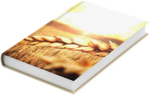 Load image into Gallery viewer, Golden Harvest 6x9 Hardcover Blank NoteBook