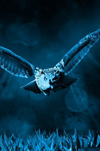 Load image into Gallery viewer, Night Owl 6x9 Hardcover Blank NoteBook