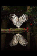 Load image into Gallery viewer, Owl On The Water 6x9 Hardcover Blank NoteBook