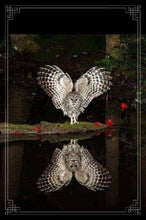 Load image into Gallery viewer, Owl On The Water 6x9 Hardcover Lined NoteBook