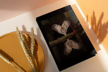 Load image into Gallery viewer, Owl On The Water 6x9 Hardcover Blank NoteBook