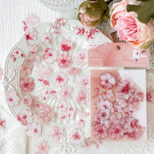 Load image into Gallery viewer, 40Pcs/Pack Ruguang Dense Series Sticker PET Transparent Plant Flower Sticky Label Deco Scrapbooking Collage Junk Journaling