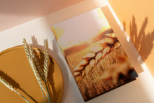 Load image into Gallery viewer, Golden Harvest 6x9 Hardcover Blank NoteBook
