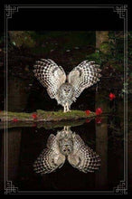 Load image into Gallery viewer, Owl On The Water 6x9 Hardcover Lined NoteBook
